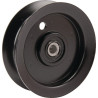 Rouleau tendeur SNAPPER 7075707YP