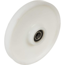 Roue AGRIA 104967