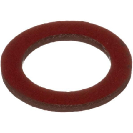 Rondelle d'etancheite BRIGGS ET STRATTON 711319