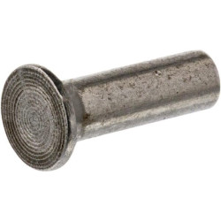Rivet AGRIA AGW01758