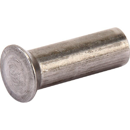 Rivet à tête fraisée AGRIA AGW67622
