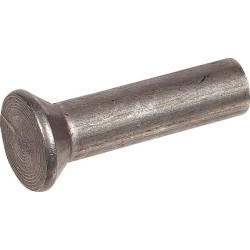 Rivet à tête fraisée AGRIA AGW39842