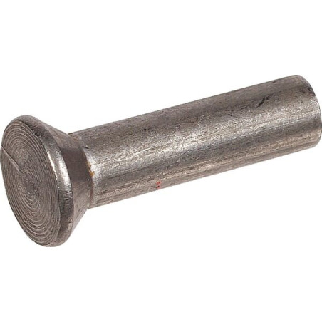 Rivet à tête fraisée AGRIA AGW39842