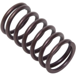 Ressort de soupape BRIGGS ET STRATTON 692084