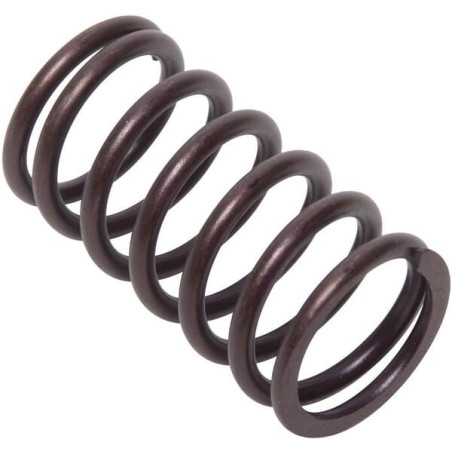 Ressort de soupape BRIGGS ET STRATTON 692084