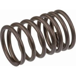 Ressort de soupape BRIGGS ET STRATTON 690520