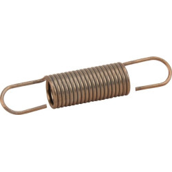 Ressort de régulateur BRIGGS ET STRATTON 798921