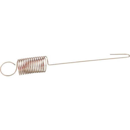 Ressort de régulateur BRIGGS ET STRATTON 590539