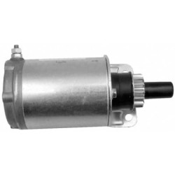 DEMARREUR BRIGGS et STRATTON 691564 - pignon métal 15 dents 