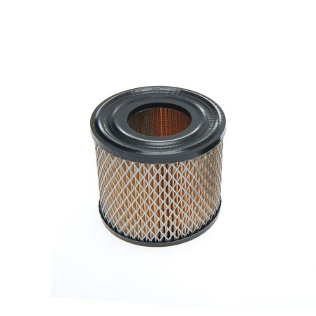 FILTRE A AIR BRIGGS et STRATTON 390930 - 393957 Pièce détachée Tracteur Tondeuse Autoportée