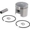 Piston complet GOPART 10000043231GP