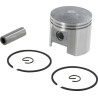 Piston complet GOPART 10000043231GP