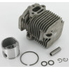 Piston ALPINA ALP8541093