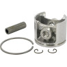 Piston ALPINA ALP8540960