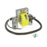 BOBINE D'ALLUMAGE 298968 pour BRIGGS ET STRATTON  7 à 16 cv Pièce détachée Tracteur Tondeuse Autoportée
