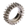 Pignon BRIGGS ET STRATTON 794388