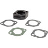 Pièce d'écartement carburateur BRIGGS ET STRATTON 715120