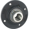 Palier INA/FFAG RFE45
