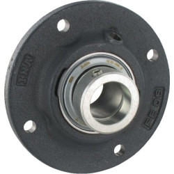 Palier INA/FFAG RFE30