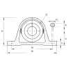 Palier complet INA/FFAG PASEY45