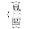 Palier complet INA/FFAG PASEY45