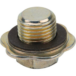 Oelablasstopfen BRIGGS ET STRATTON 825278
