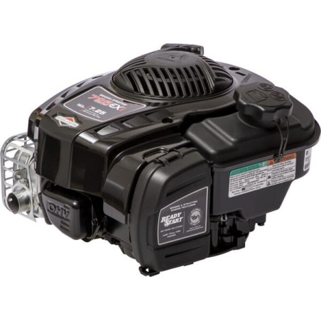 Moteur-V BRIGGS ET STRATTON 104M020198F1
