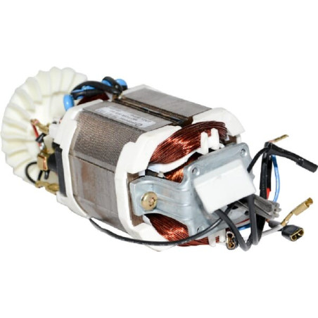 Moteur OUTILS-WOLF 69503OW