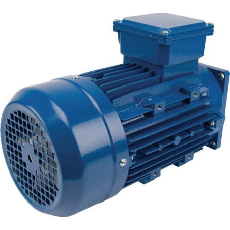 Moteur électrique UNIVERSEL EM90L4MPP300IE3