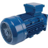 Moteur électrique UNIVERSEL EM90L4MPP300IE3