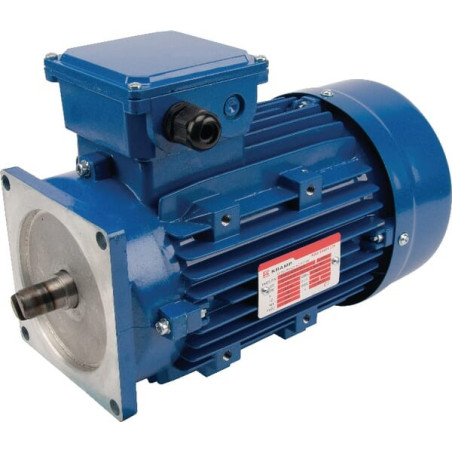Moteur électrique UNIVERSEL EM90L4MPP300IE3