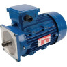 Moteur électrique UNIVERSEL EM90L4MPP300IE3