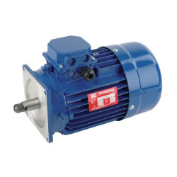 Moteur électrique UNIVERSEL EM80B4MPP300IE3