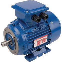 Moteur électrique UNIVERSEL EM80B2B3B14300IE3G