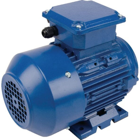 Moteur électrique UNIVERSEL EM80B2B3B14300IE3G