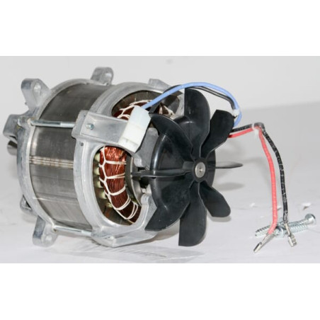 Moteur électrique OUTILS-WOLF 6947OW