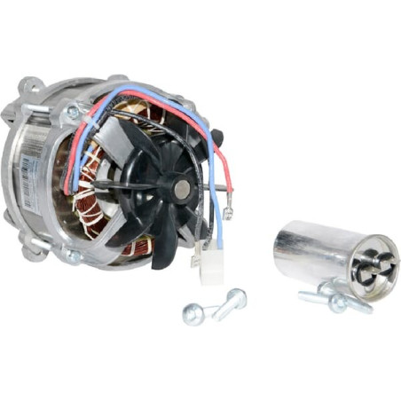 Moteur électrique OUTILS-WOLF 6875OW