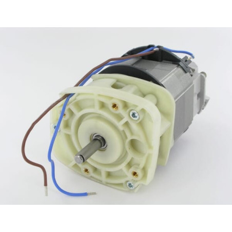 Moteur électrique ALPINA ALP8251900