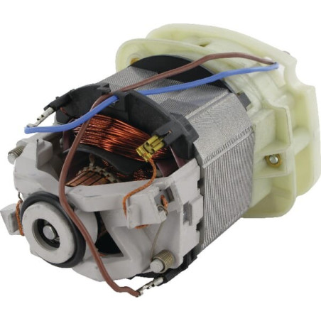 Moteur électrique ALPINA ALP8251900