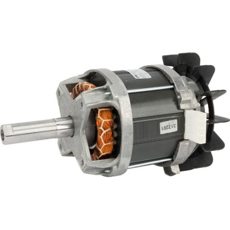Moteur électrique AL-KO AK517064