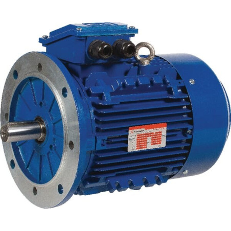 Moteur électrique 5,5 kW UNIVERSEL EM132MB6B5500IE3A