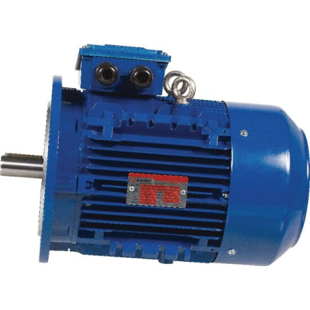 Moteur électrique 5,5 kW UNIVERSEL EM132MB6B5500IE3A