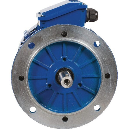 Moteur électrique 5,5 kW UNIVERSEL EM132MB6B5500IE3A