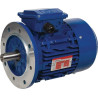 Moteur électrique 4 kW UNIVERSEL EM112L4B5500IE3AKR