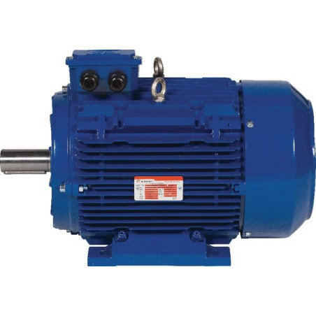 Moteur électrique 4 kW UNIVERSEL EM112L4B3300IE3AKR