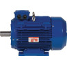 Moteur électrique 4 kW UNIVERSEL EM112L4B3300IE3AKR