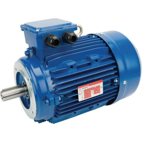 Moteur électrique 4 kW UNIVERSEL EM112L4B14500IE3A