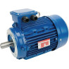 Moteur électrique 4 kW UNIVERSEL EM112L4B14500IE3A