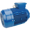 Moteur électrique 4 kW UNIVERSEL EM112L4B14300IE3A