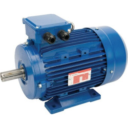 Moteur électrique 3 kW UNIVERSEL EM100LB4B3500IE3A